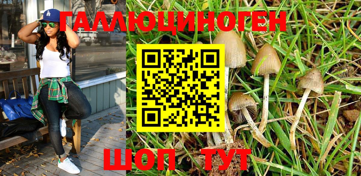 Галлюциногенные грибы Magic Shrooms  Вход с VPN  Омск  Галлюциногенные грибы Psilocybine cubensis 